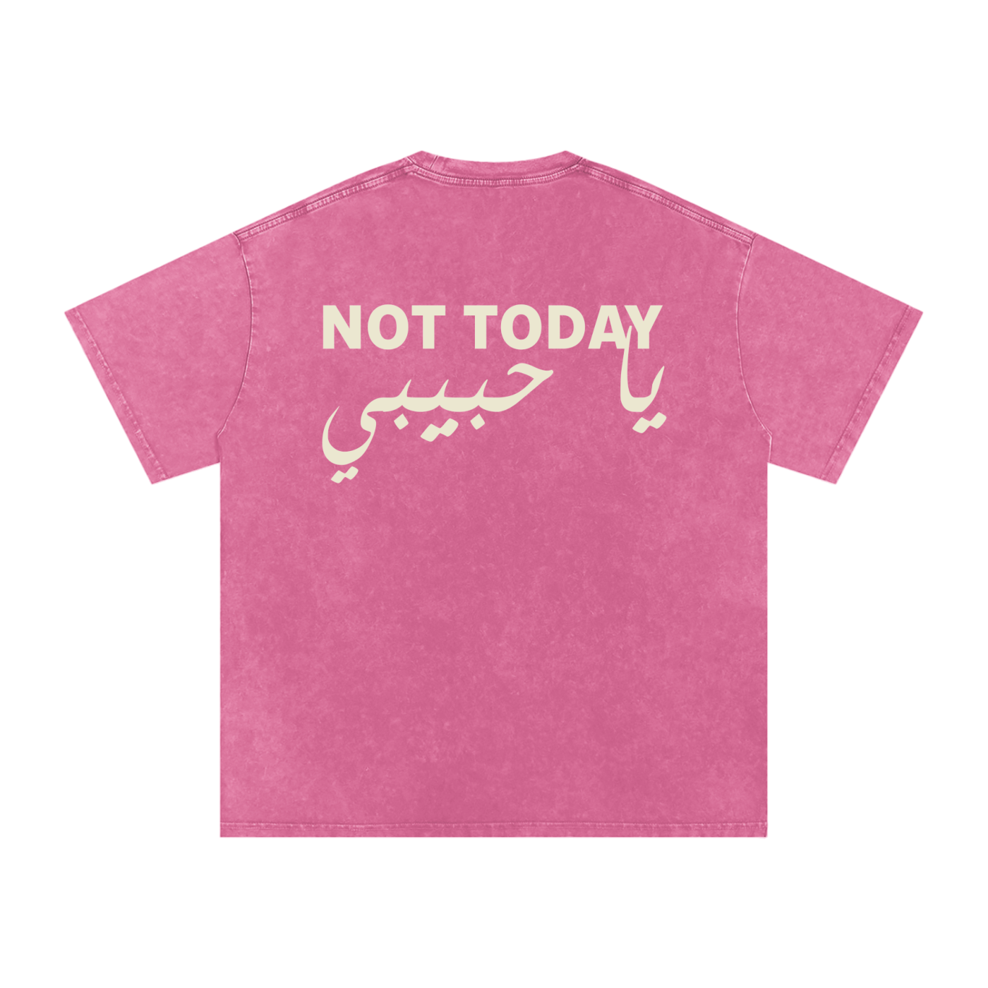 Not today يا حبيبي - Snow Washed Oversized T-Shirt