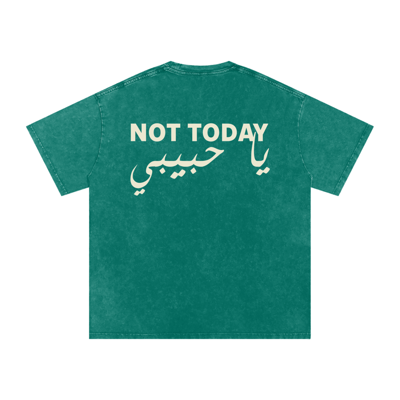 Not today يا حبيبي - Snow Washed Oversized T-Shirt