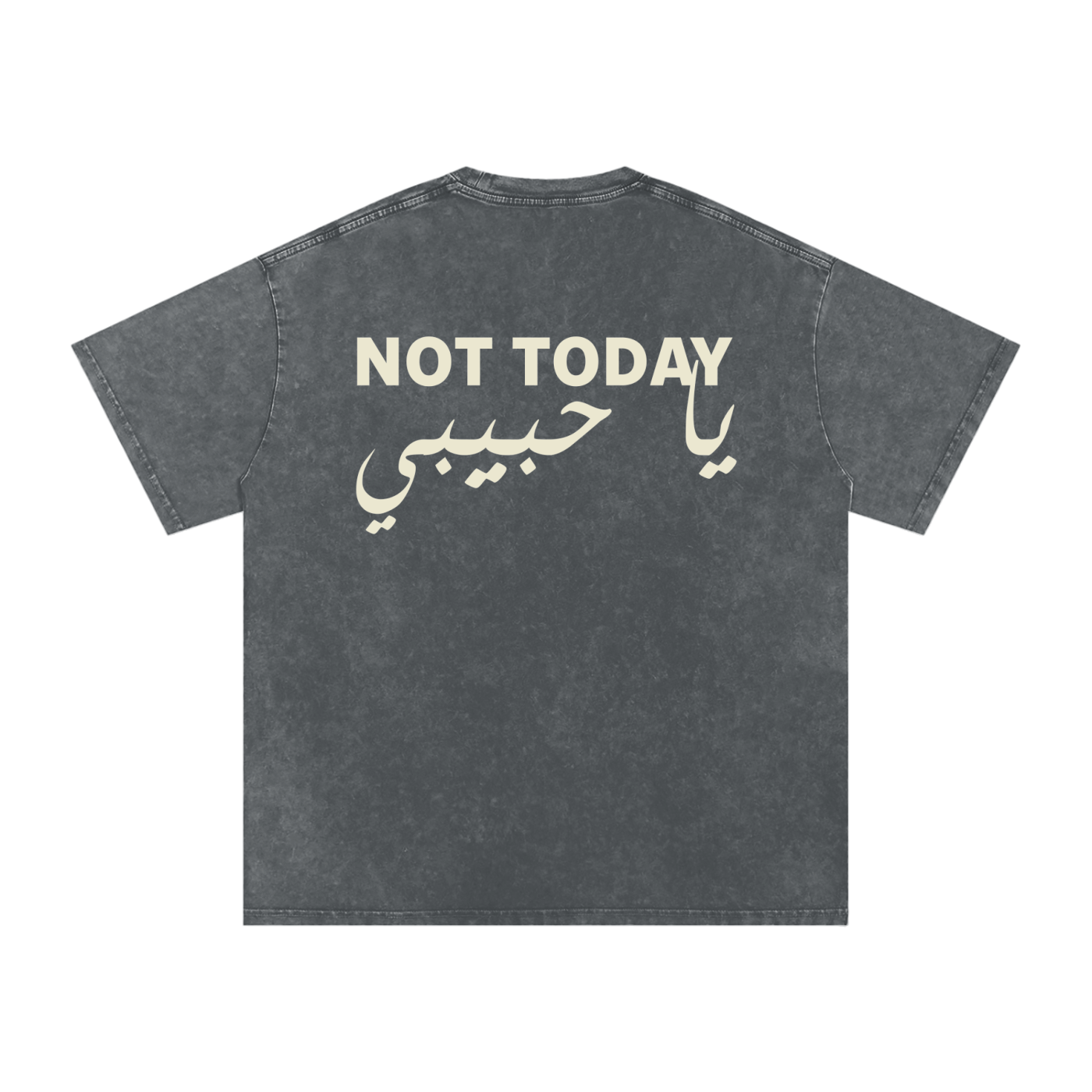 Not today يا حبيبي - Snow Washed Oversized T-Shirt